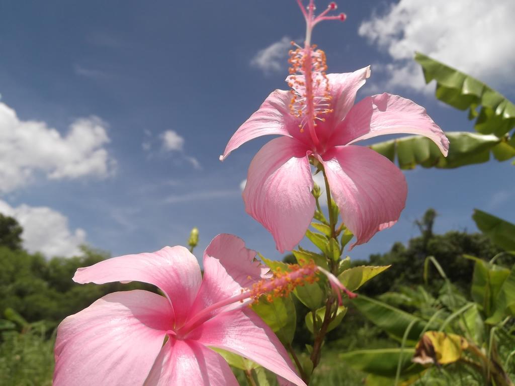 Yoisama Sunrise Beach House Ishigaki  Exteriör bild