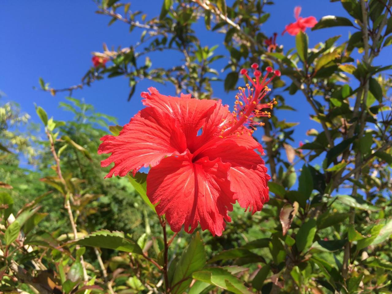 Yoisama Sunrise Beach House Ishigaki  Exteriör bild